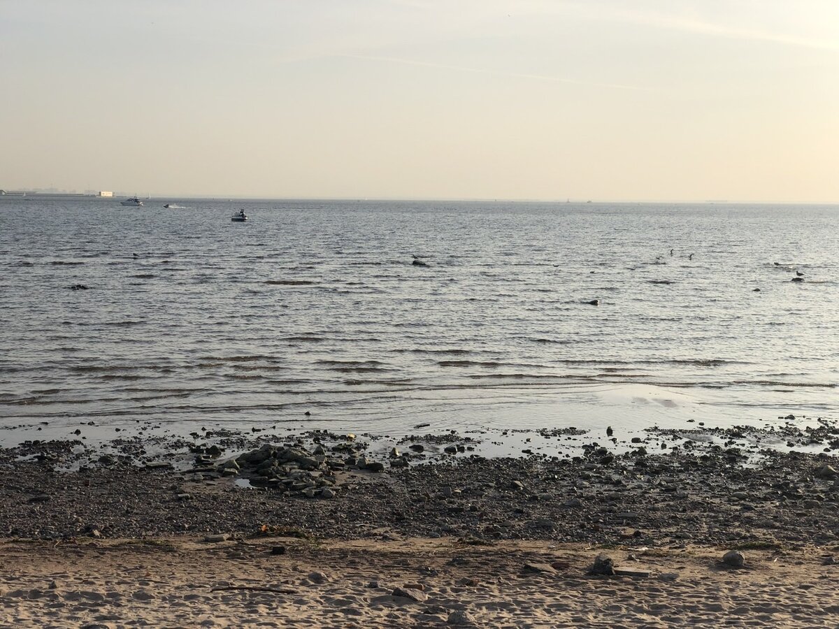 Неужели так сложно отделить Солт от воды. Способы есть даже у моряков.