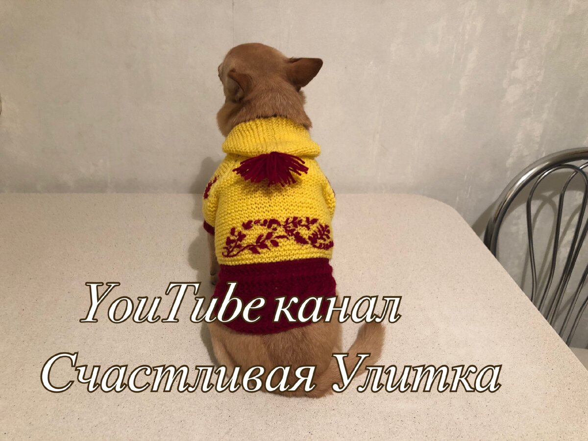 Комментарии