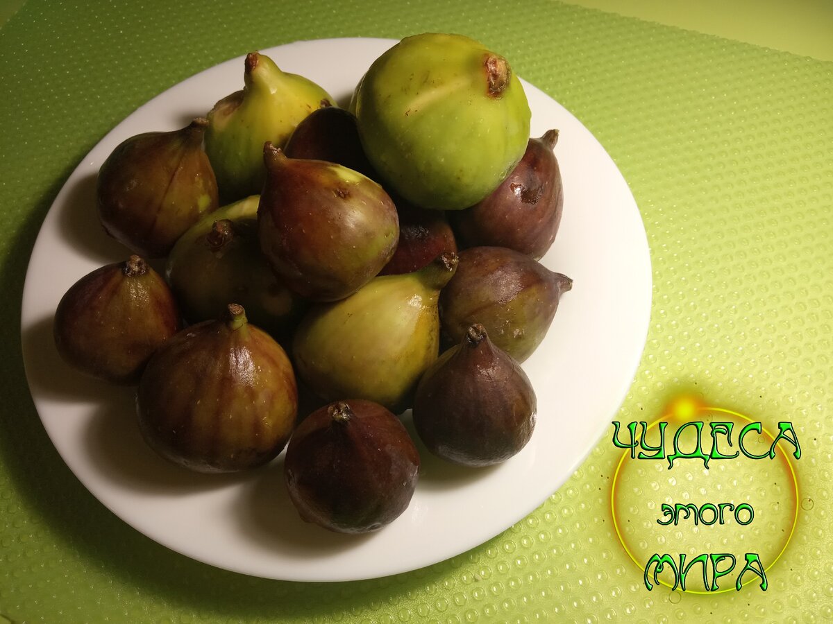 Купил самого разного инжира, давайте разбираться