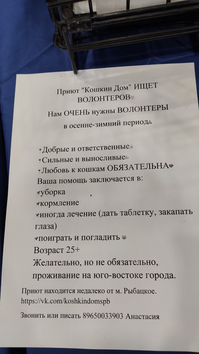 Фото с выставки