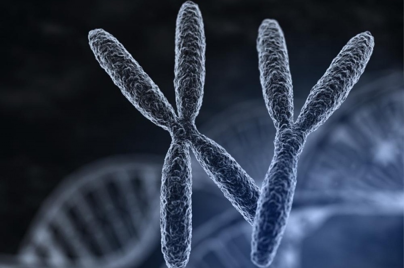 Фото взято из открытого источника "Яндекс.Картинки"