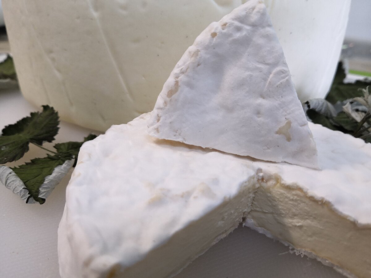 Сыры Ольги Елисеевой