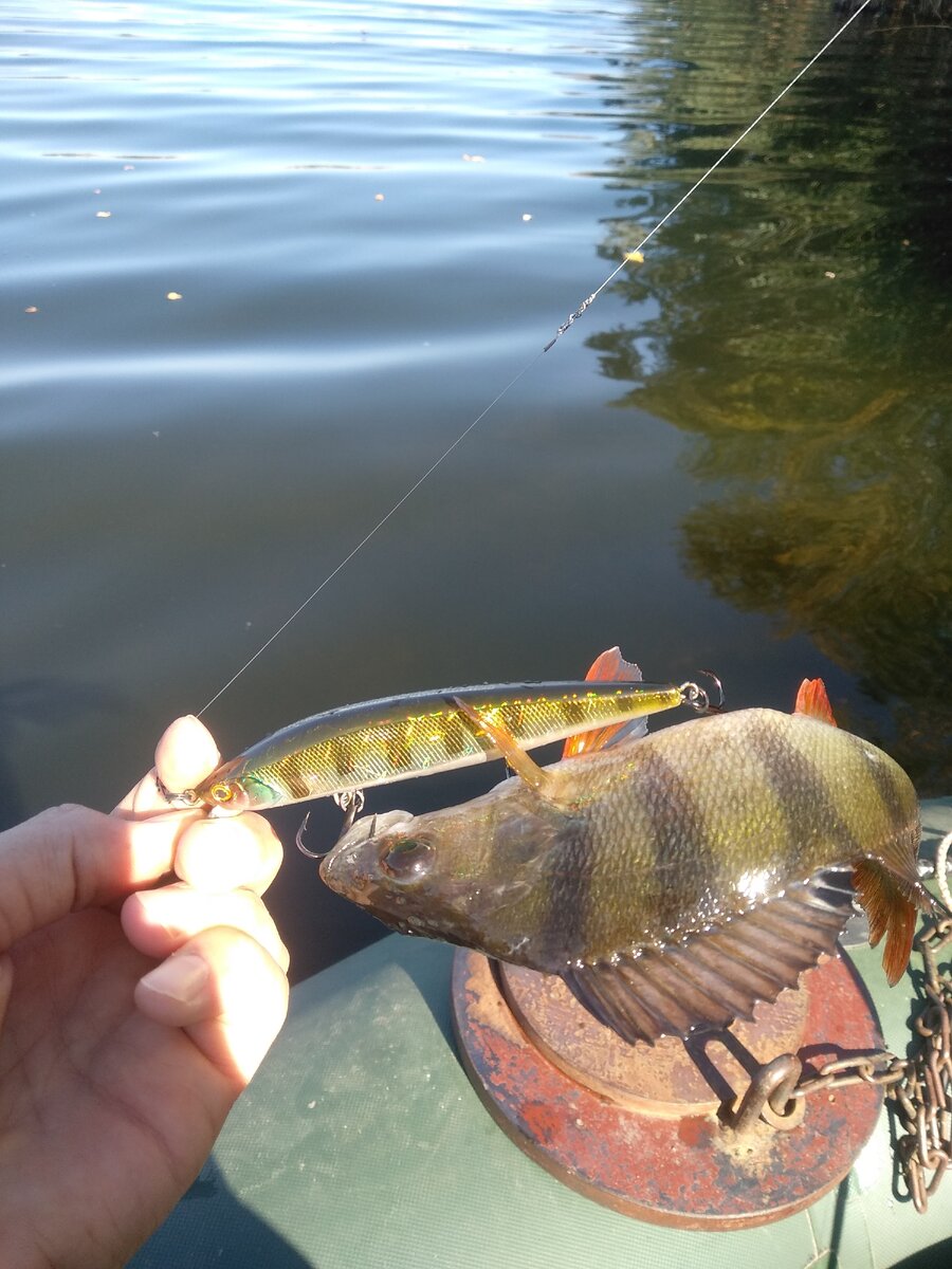 Rerange 110SP Perch glass