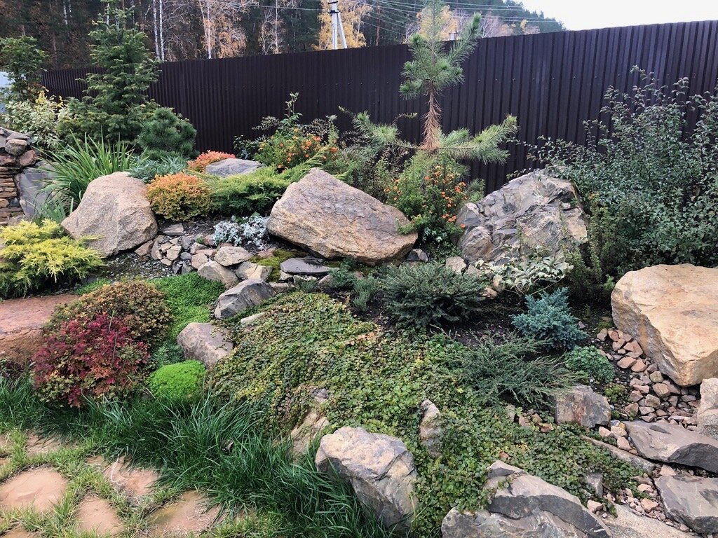 Почвопокровники на альпийской горке