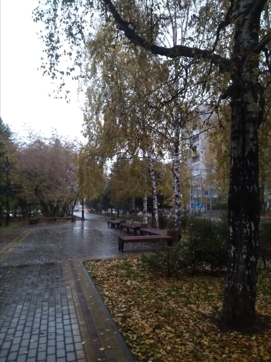 Аллея по пути на работу