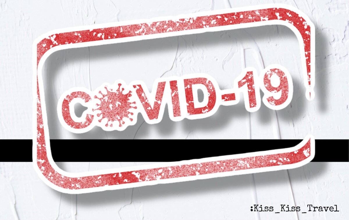 Хорошие новости наконец-то поступили, правительство открывает ещё 3 страны. 