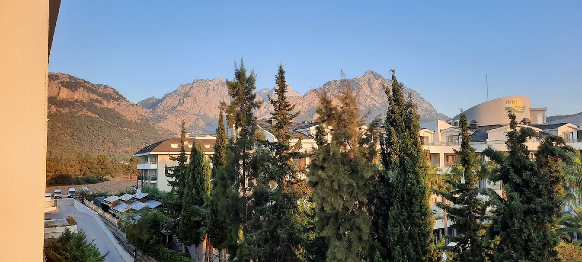 Вид из номера