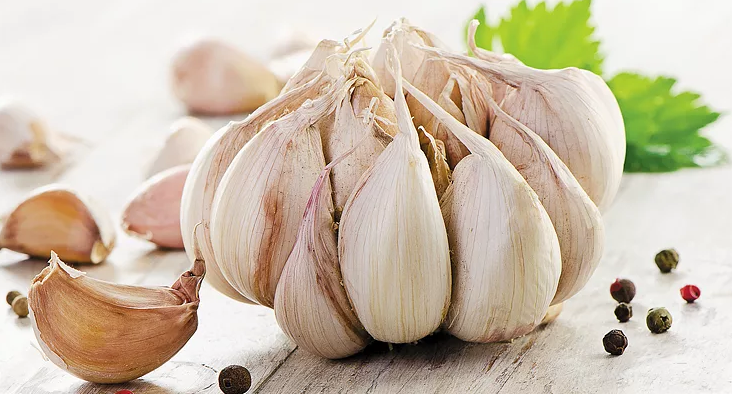 Чеснок

