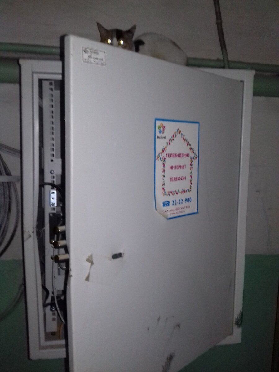 Ящик провайдера. Фото автора. 