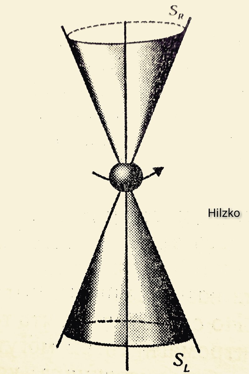 Структура торсионного поля