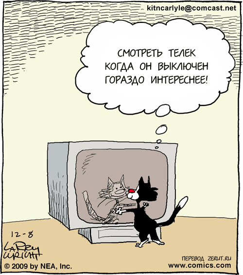 Картинка с просторов интернета. Текст статьи авторский.