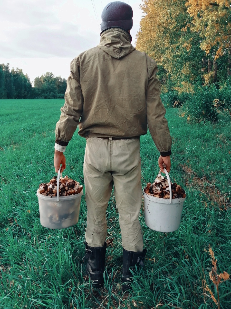 Спустился в кусты в туалет сходить,и заметил нору, большую такую. Не понял сначала, потом заглянул туда, а там рай грибной, аж слюнки потекли. Взял вёдра и за дело. В итоге 5 мешков грибов увёз домой, пожарил, поел и отключился... Денёк не ах, а ух! 