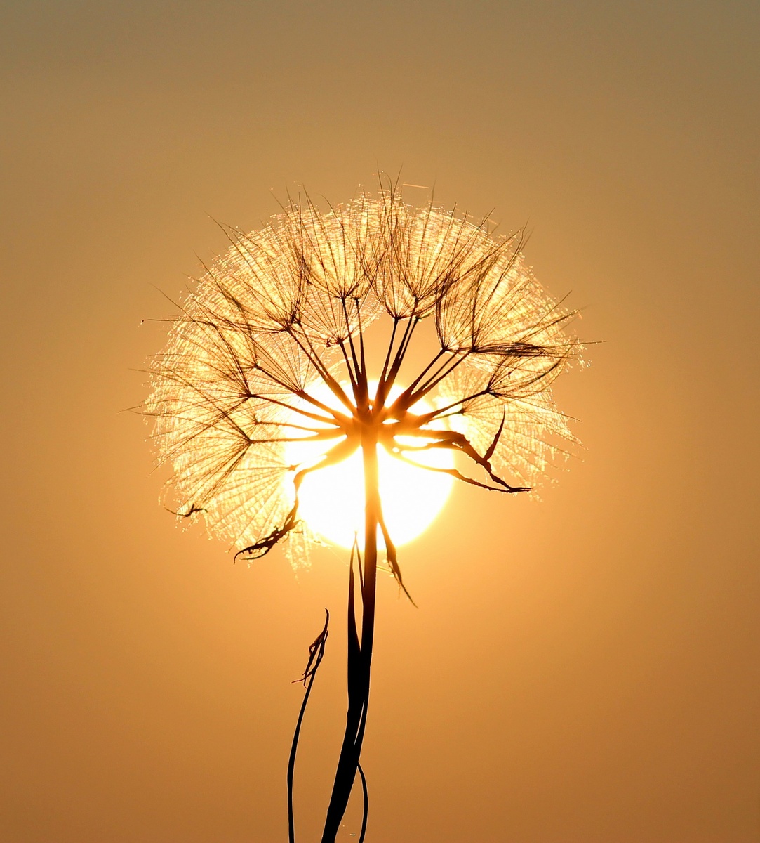 https://pixabay.com