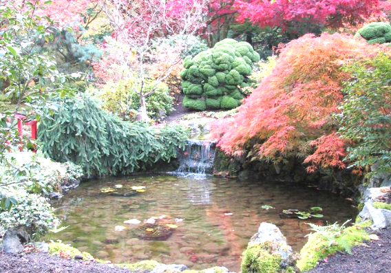 сад в Японии, дача