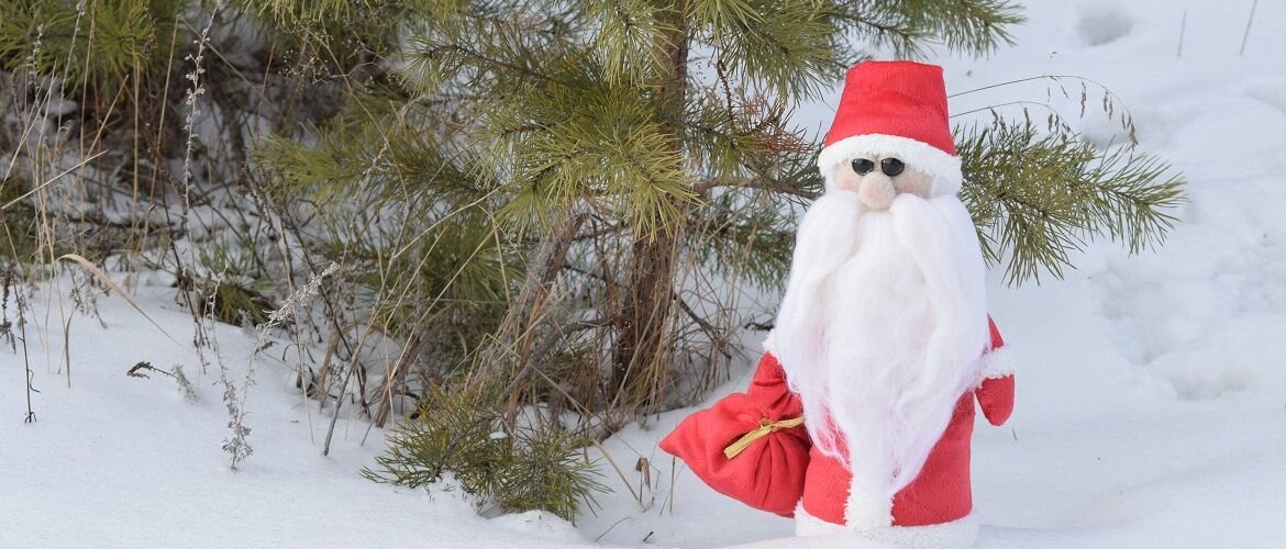 Дед Мороз из тыквы своими руками. Мастер-класс с пошаговыми фото