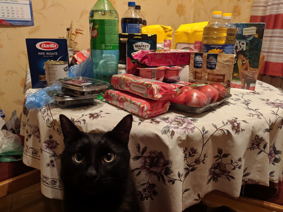 Проверка котом пройдена