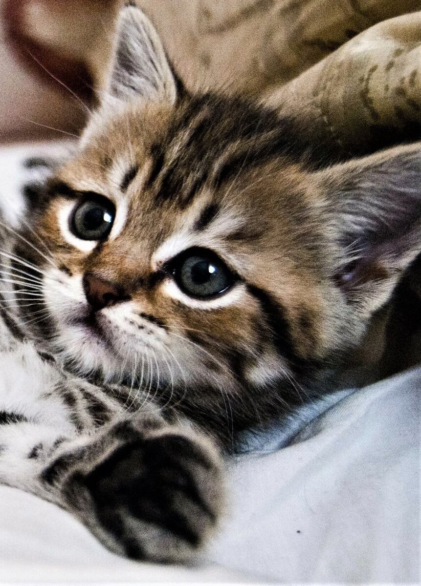 Будущий спаситель Валерки