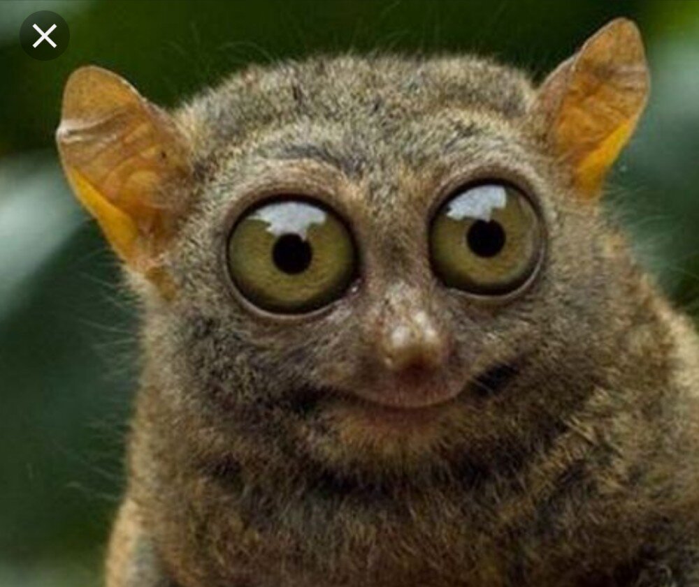 Вот так вот