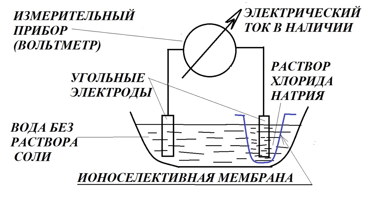 При наличии ионоселективной мембраны за счёт разницы концентрации ионов мы получаем электрический ток.