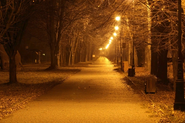 фото из открытых источников