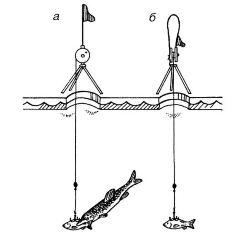 Сеть на щуку. Схема оснастки жерлицы. Ловля щуки на жерлицы зимой. Оснастка жерлицы для зимней рыбалки на щуку. Оснастка жерлицы на щуку зимой.