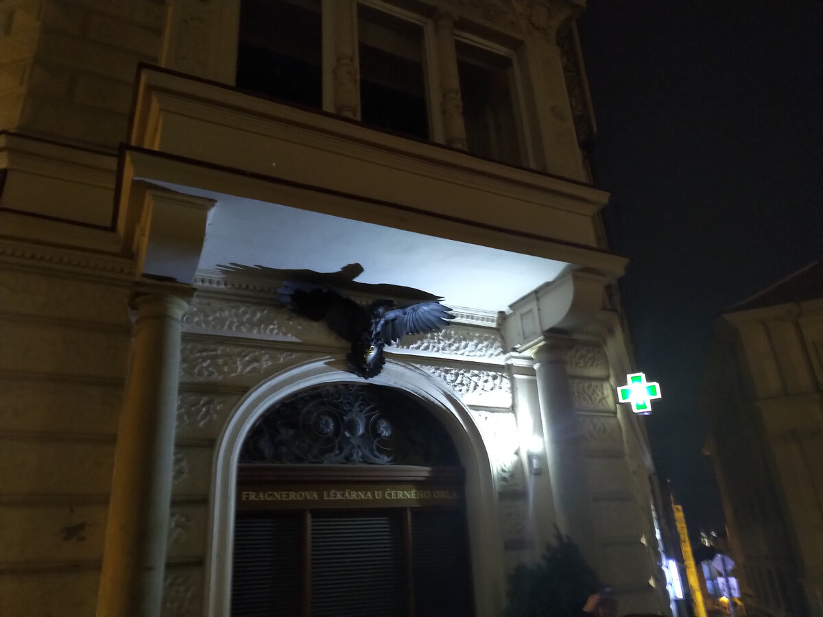 Домовой знак Черный ворон