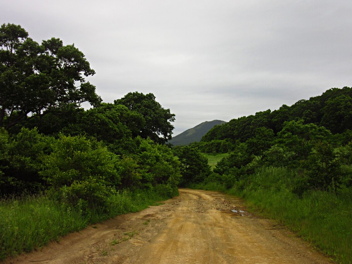 Остров дорог. Пустино. Road Island.