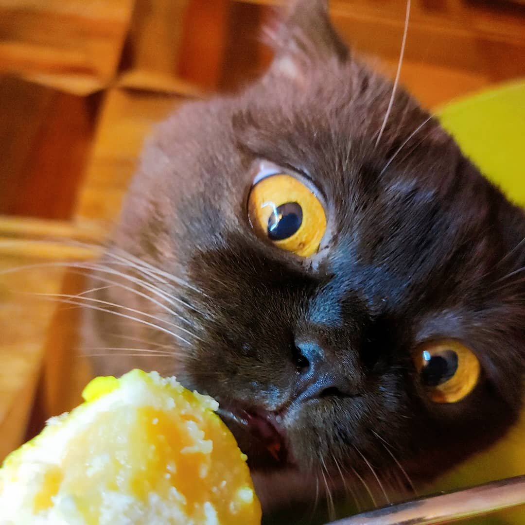 Источник: instagram.com