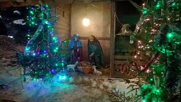 Фото: Калужские новости
