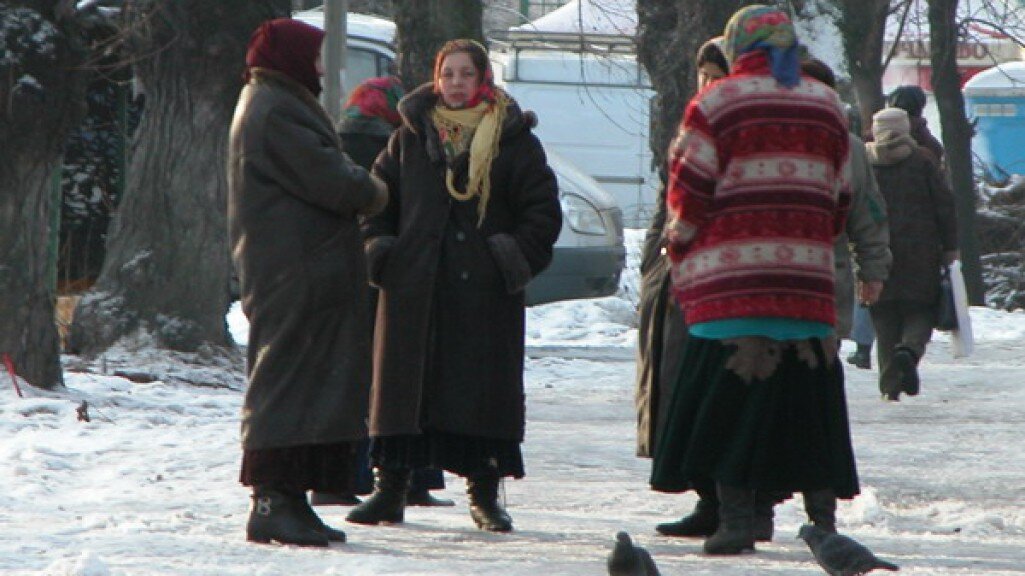 фото из интернета