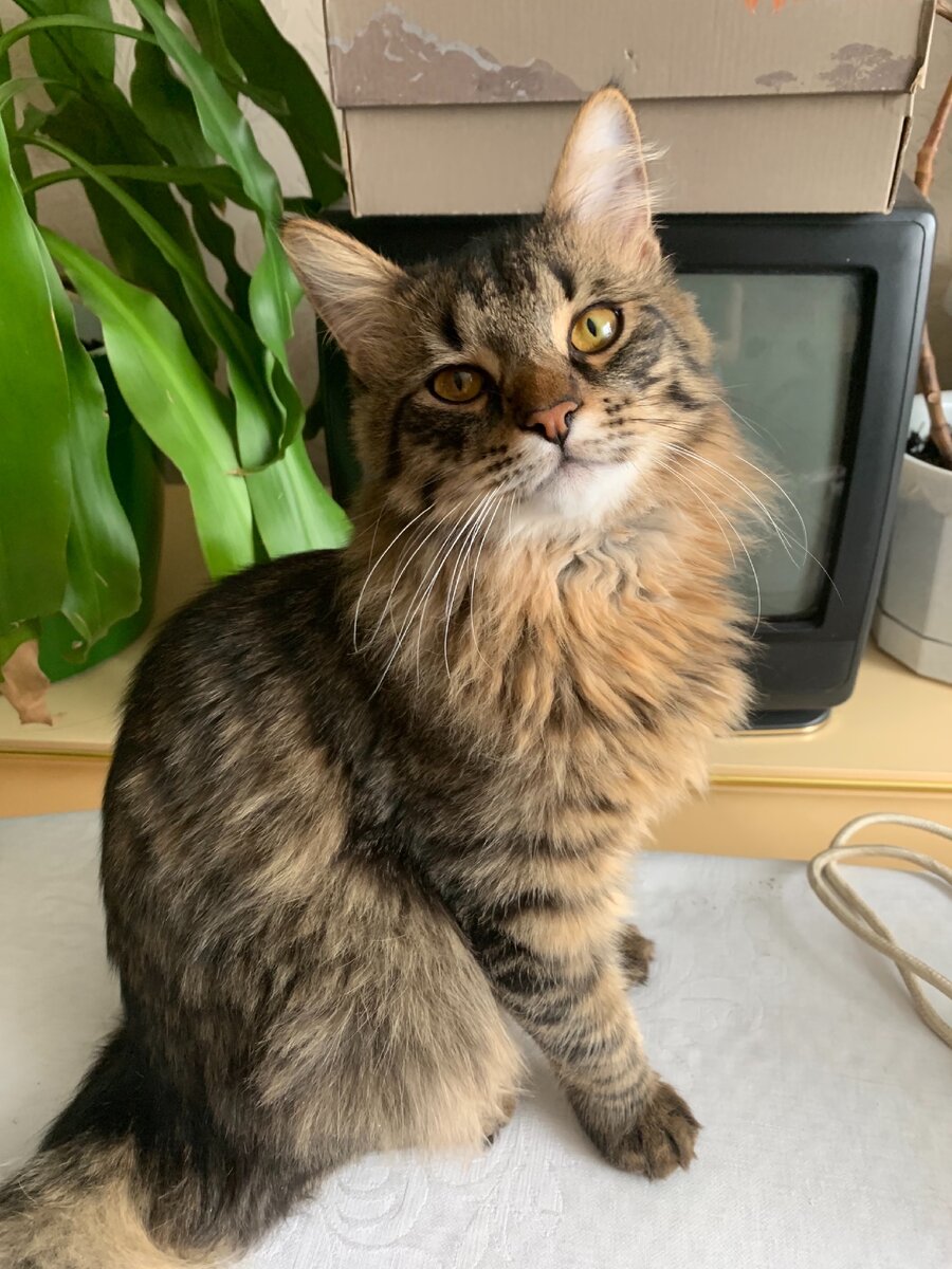 Авторское фото 