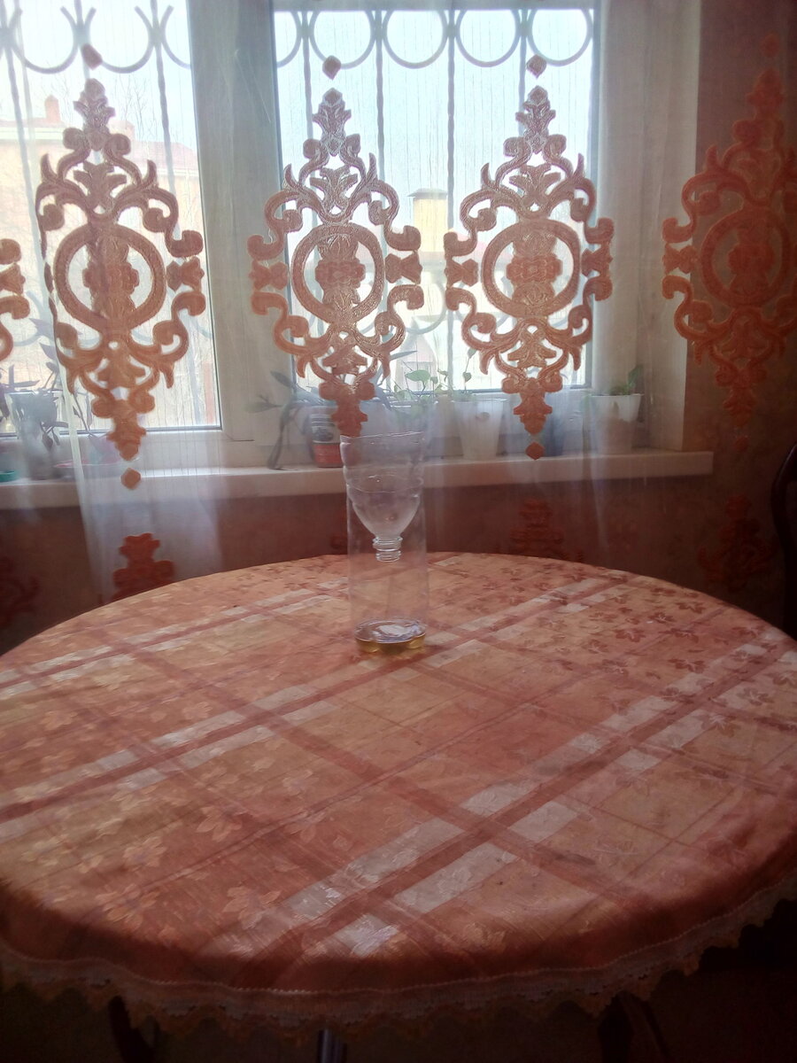 Домашнее фото ловушки  комаров.