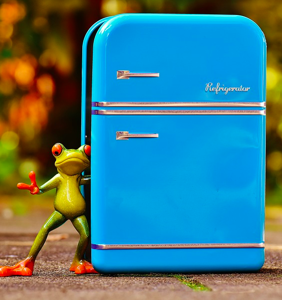 Источник: https://pixabay.com/ru/photos/лягушка-холодильник-синий-фигура-1729802/