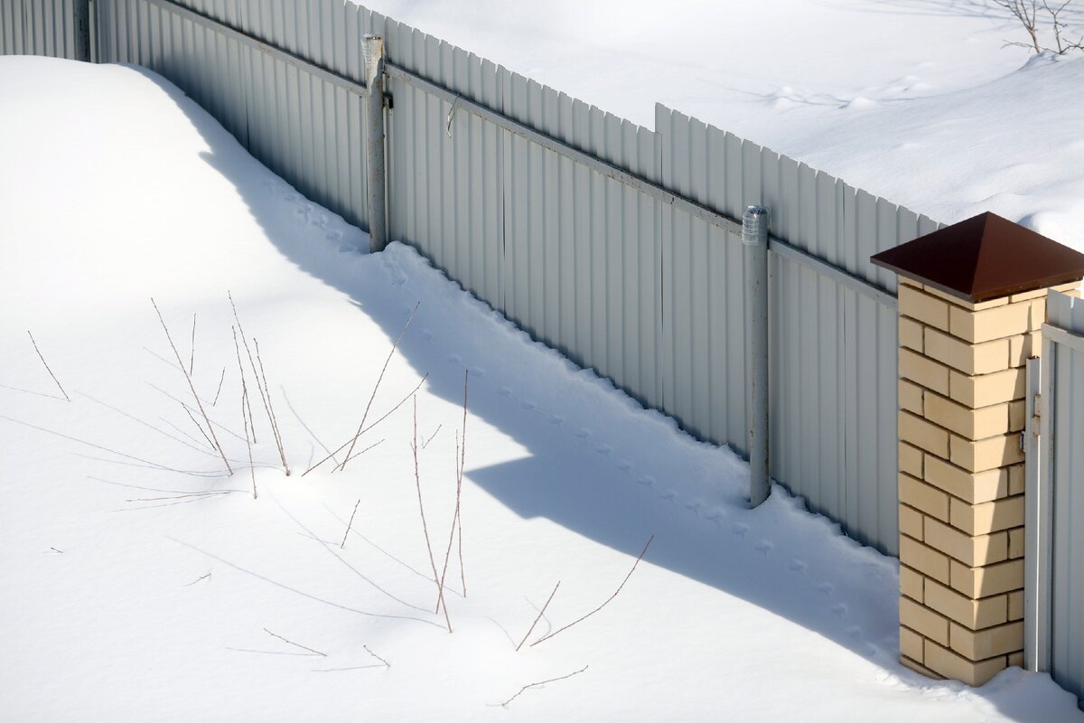 Следы вдоль забора.