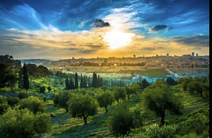 Для иллюстрации из общего доступа 