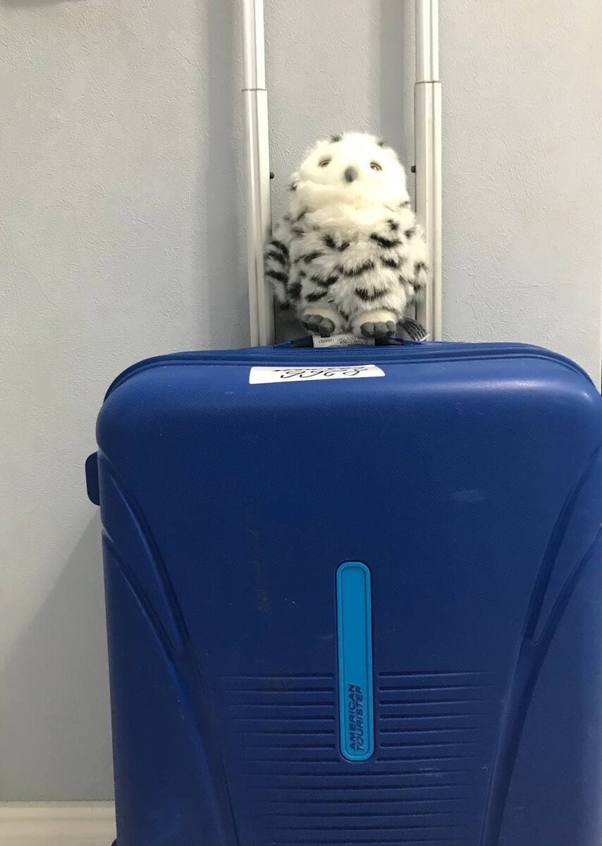 Возвращение на Родину синего чемодана