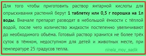 янтарная кислота в цветоводстве