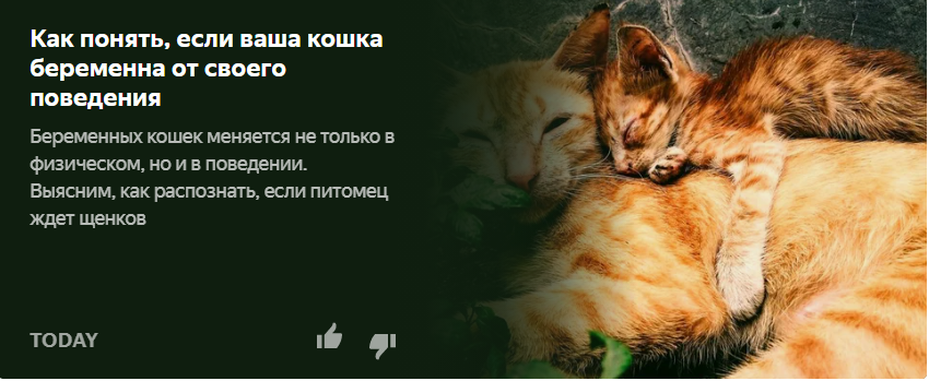 моя персональная лента на итальянском Дзене.