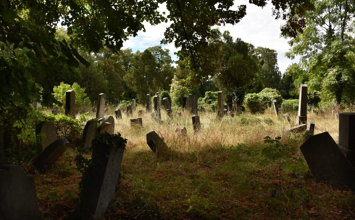 Надгробная плита заброшенное кладбище