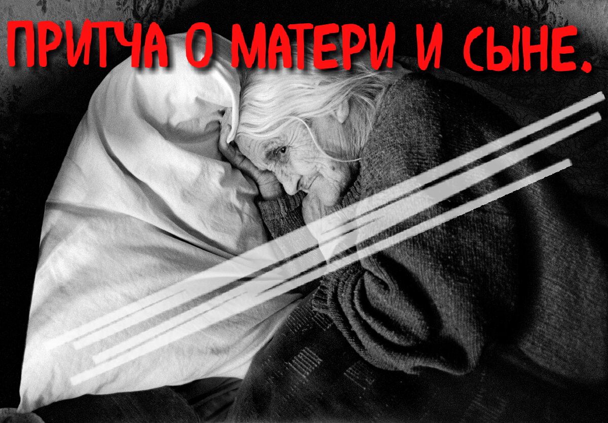 Коллаж Автора.