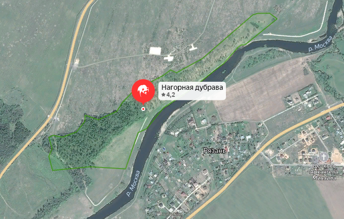 Нагорная дубрава Улитинская на карте. Источник: Яндекс. Карты