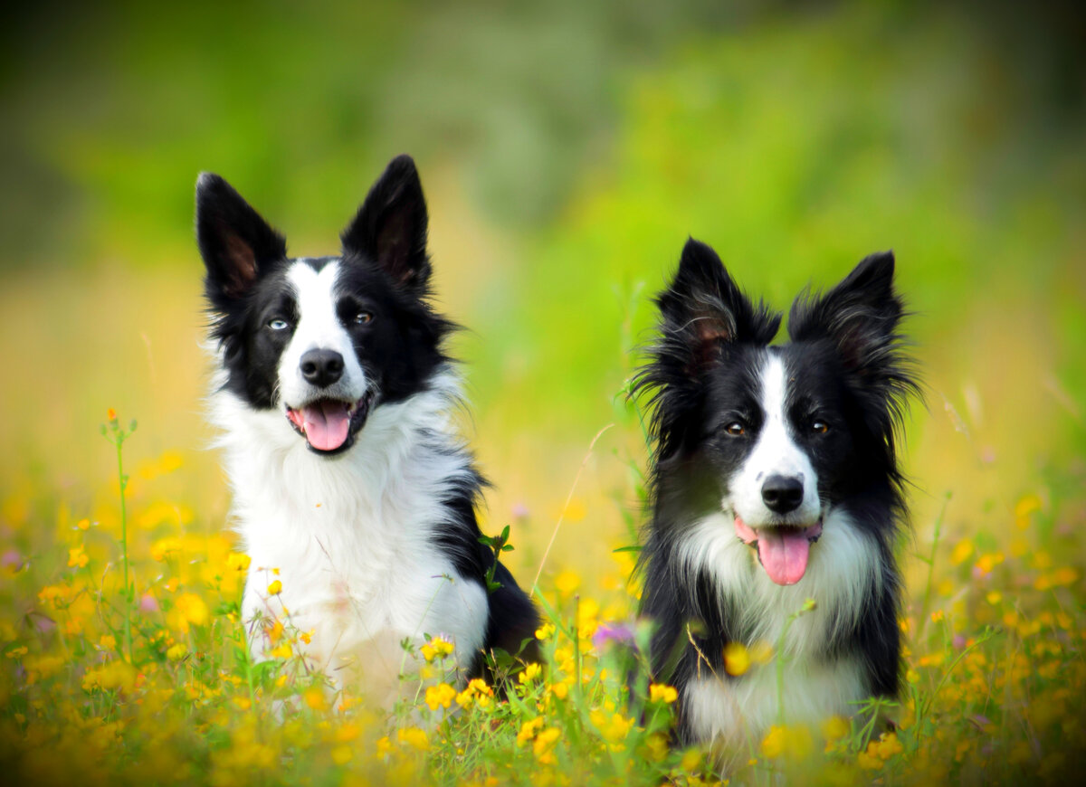 Источник иллюстрации: goodfon.ru