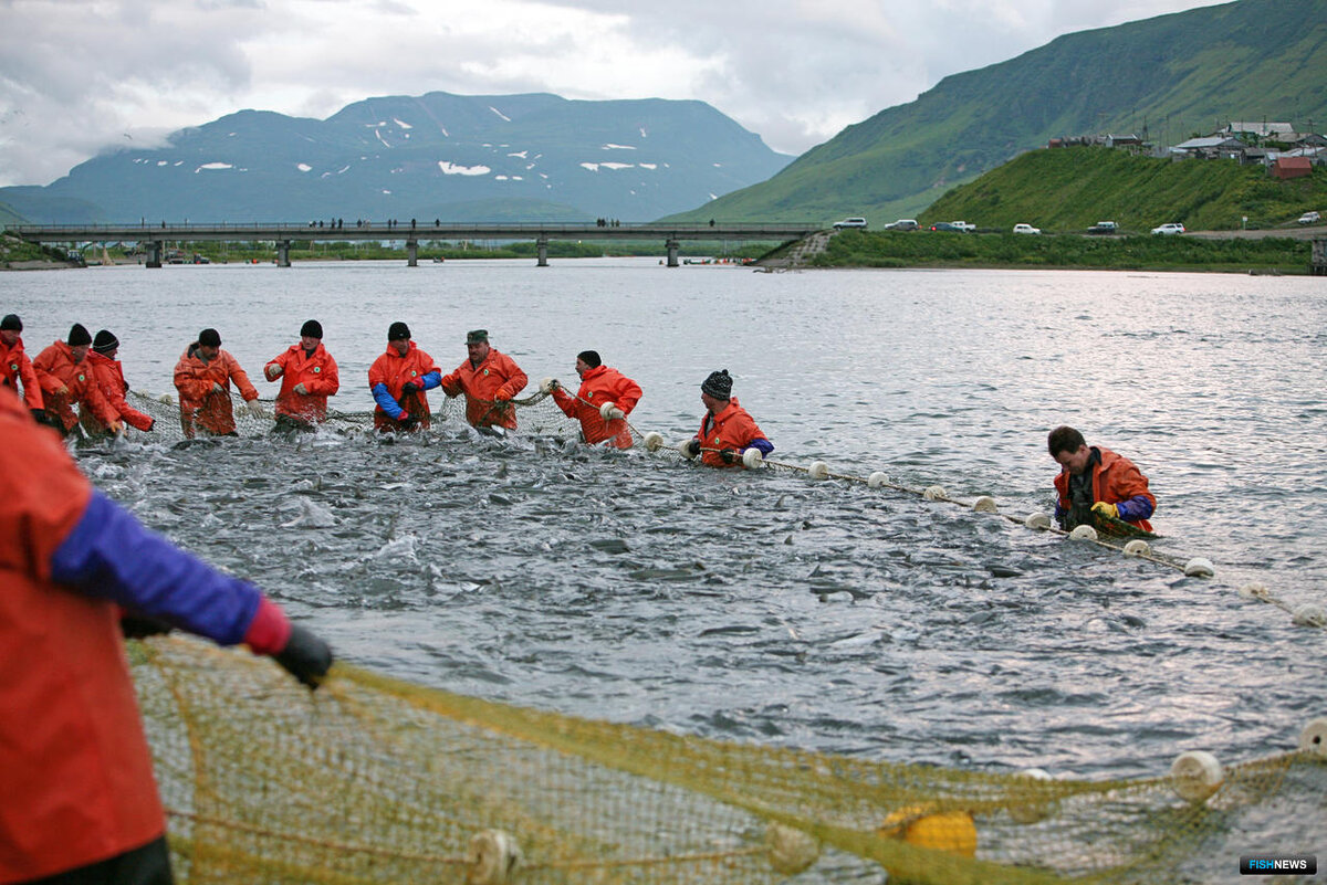 Фото с сайта https://fishnews.ru