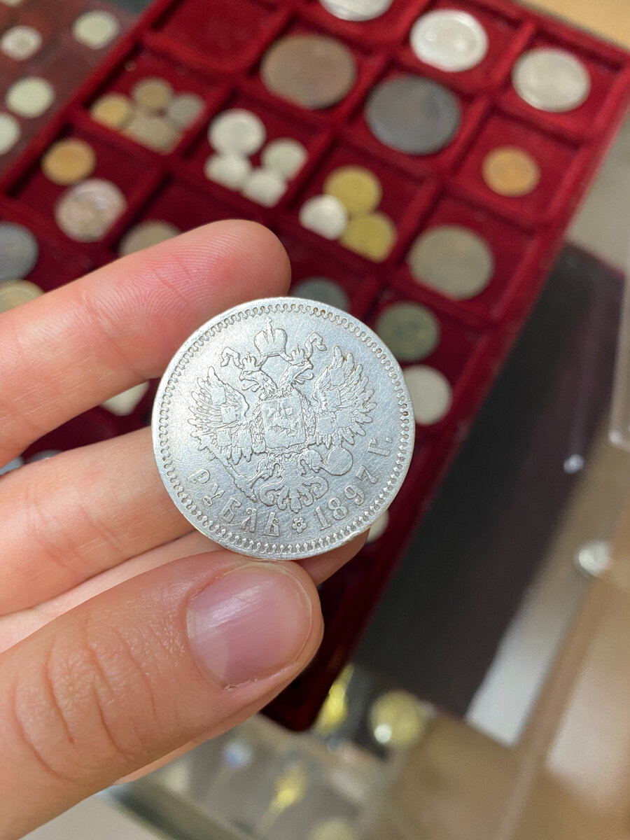 Фото автора.