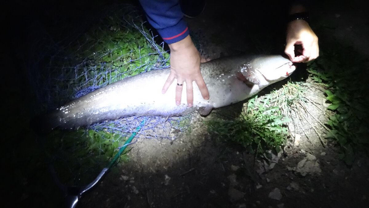 Фото автора. 