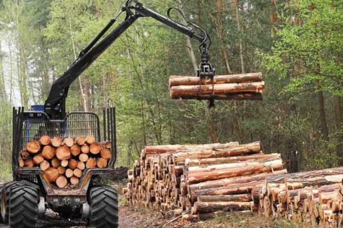 Фото с сайта dlh.avo.ru