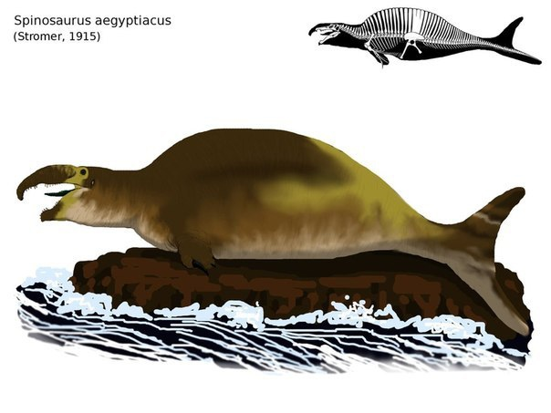 Палеонтологи, вы чё со мной сделали?! 