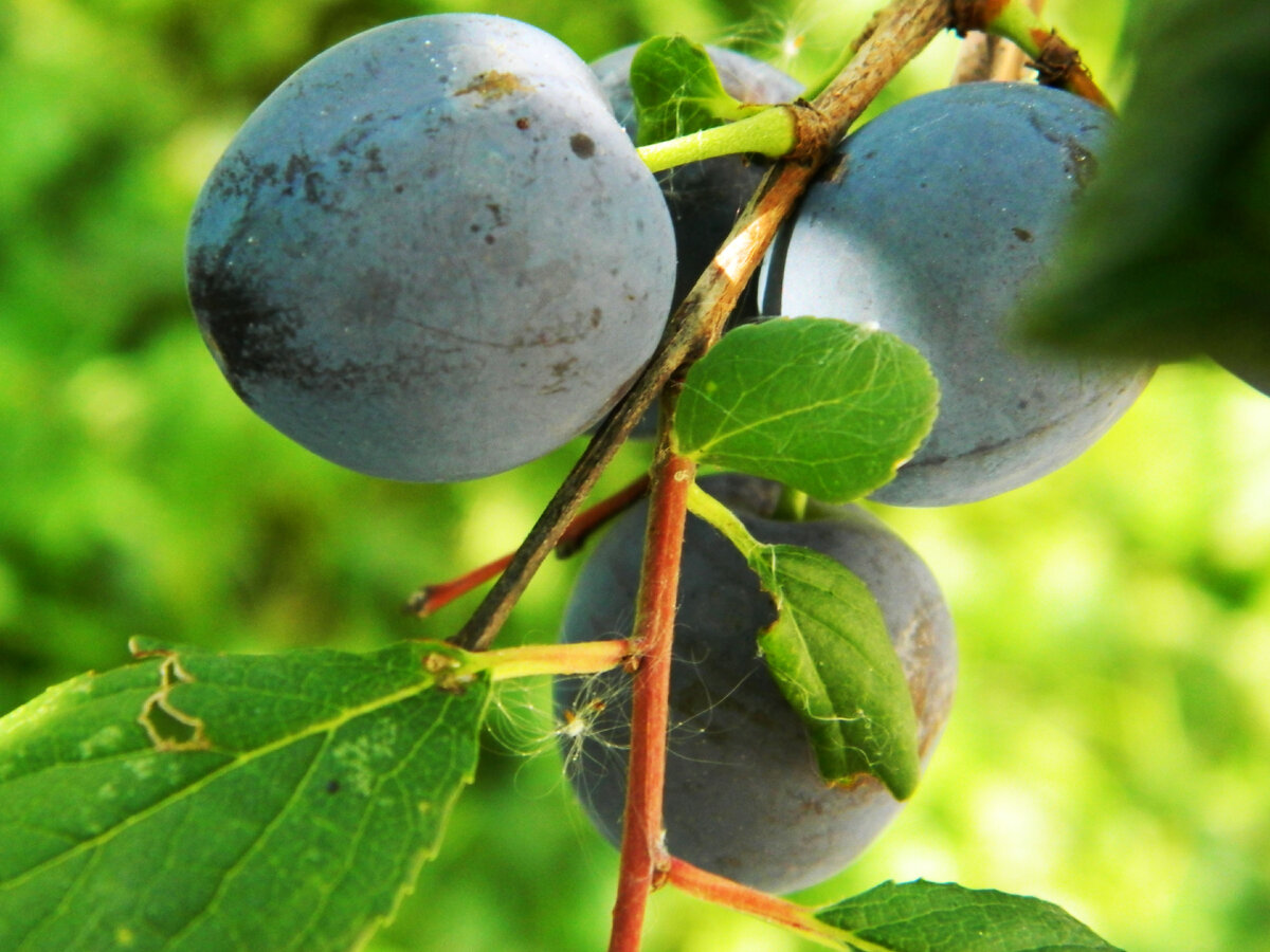 фото автора канала