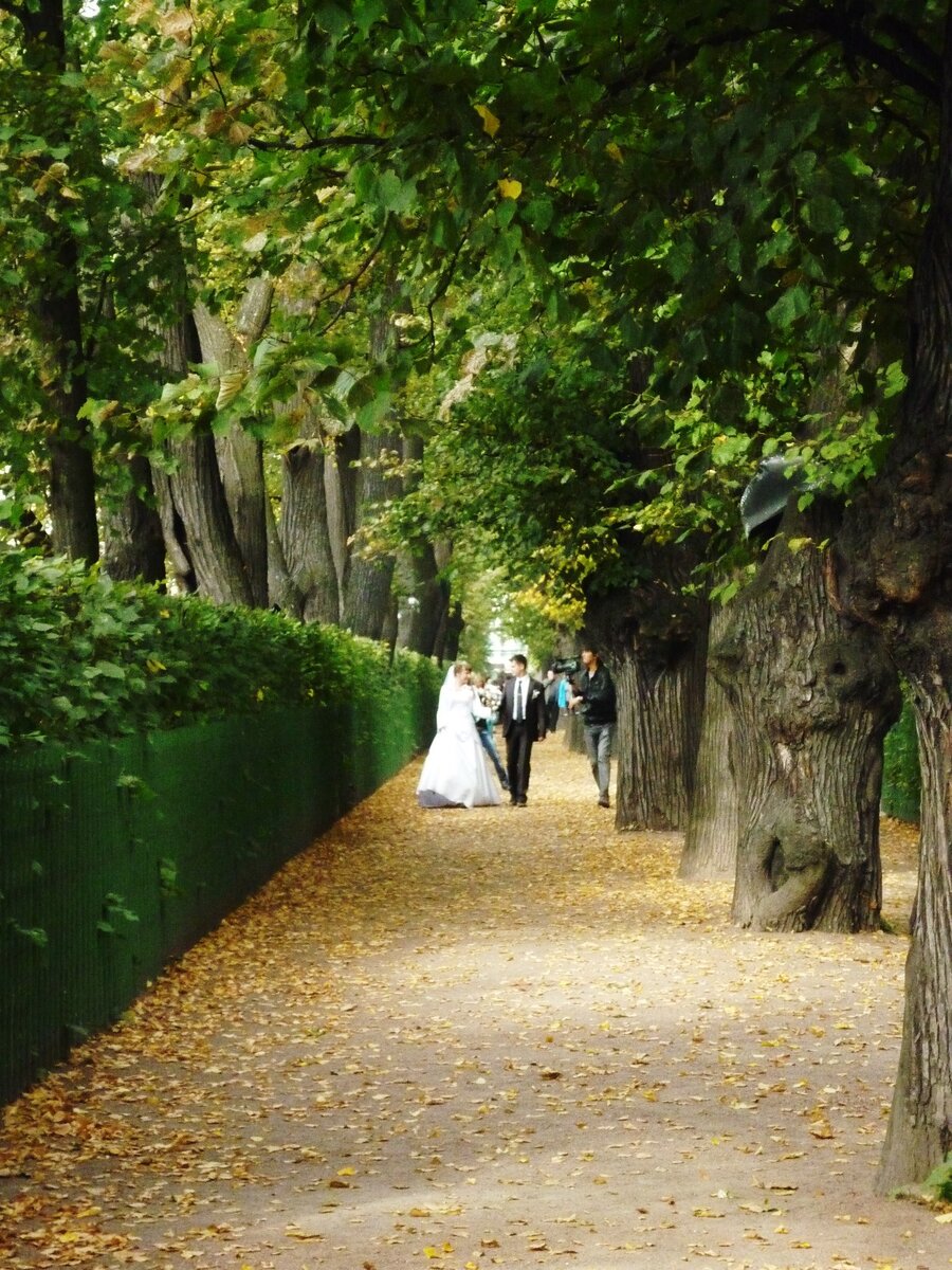 Фото автора в Летнем саду