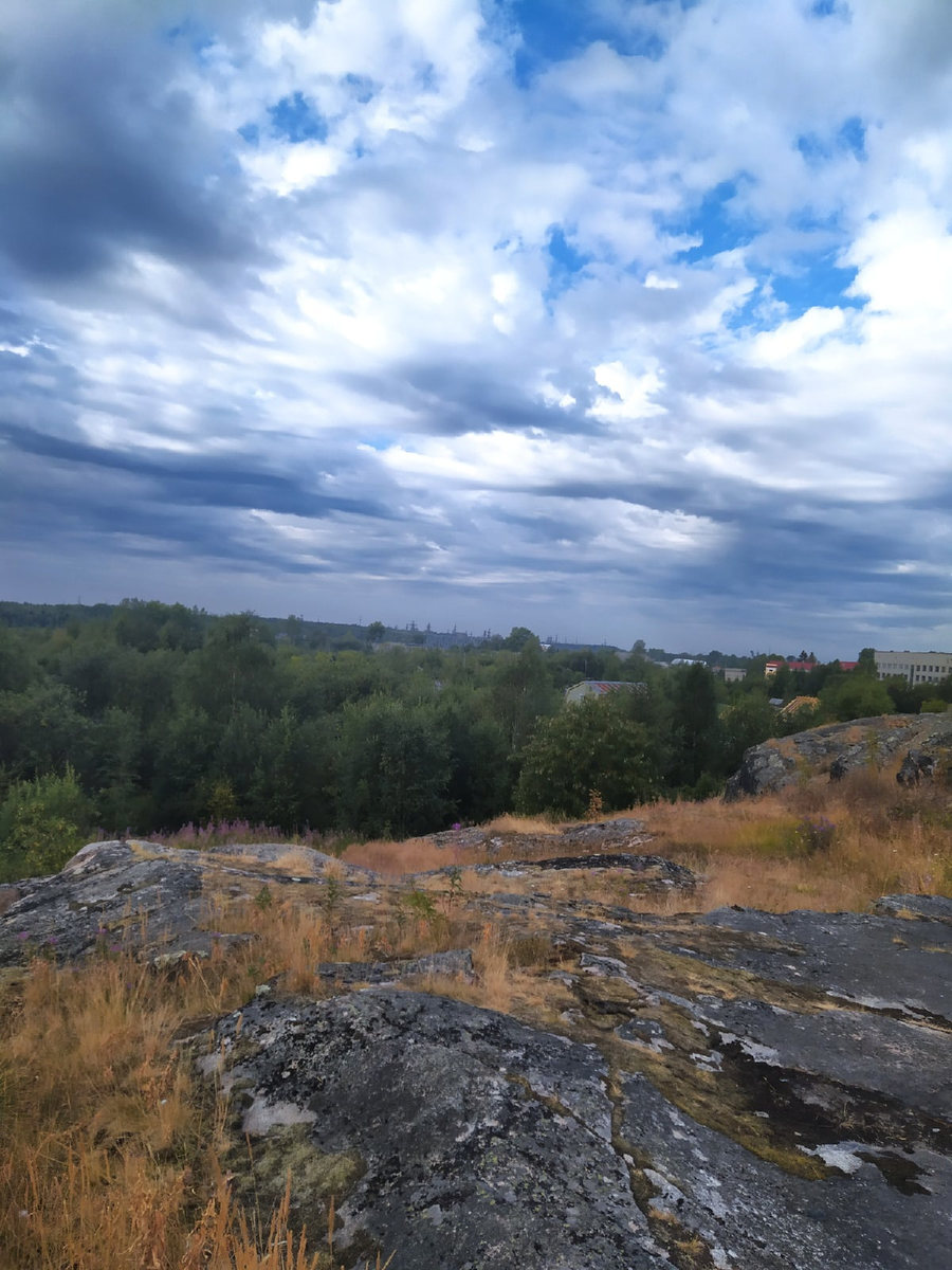 Сейчас мы спустимся со скалы и пойдём гулять в рощу.Фото летнее,роща ещё зелёная.Но не удержалась,что бы вам не показать